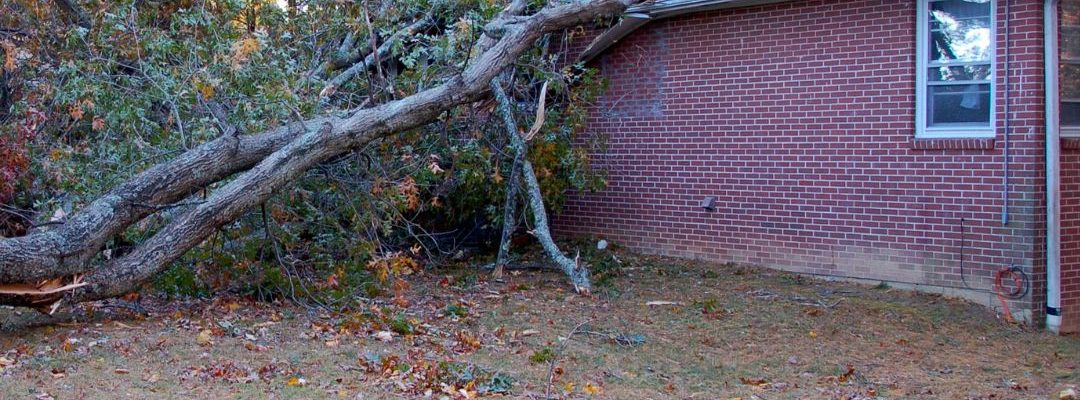 stormschade stormschade